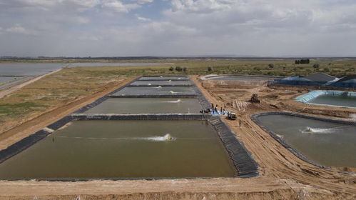 榆林迎小龍蝦上市旺季 水產(chǎn)賦能鄉(xiāng)村振興，畜牧漁業(yè)飼料銷售同步增長